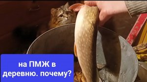 На ПМЖ в деревню. Почему?