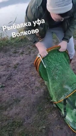 Карп,карпята,карпенки