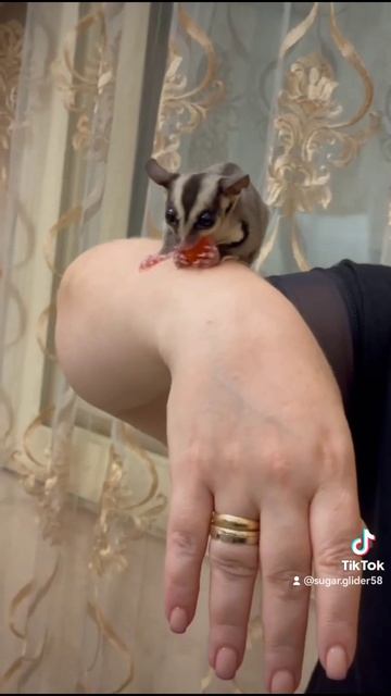 24 June 2024 смотреть онлайн