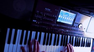 Korg pa700 / 1000 style / Koto-Visitors / New Order-Blue Monday / Laser Dance Style