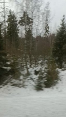 еду домой