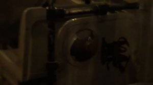 Трамвай Санкт-Петербурга 304: ЛВС-86К-М б.3075 по №40 (24.10.12)