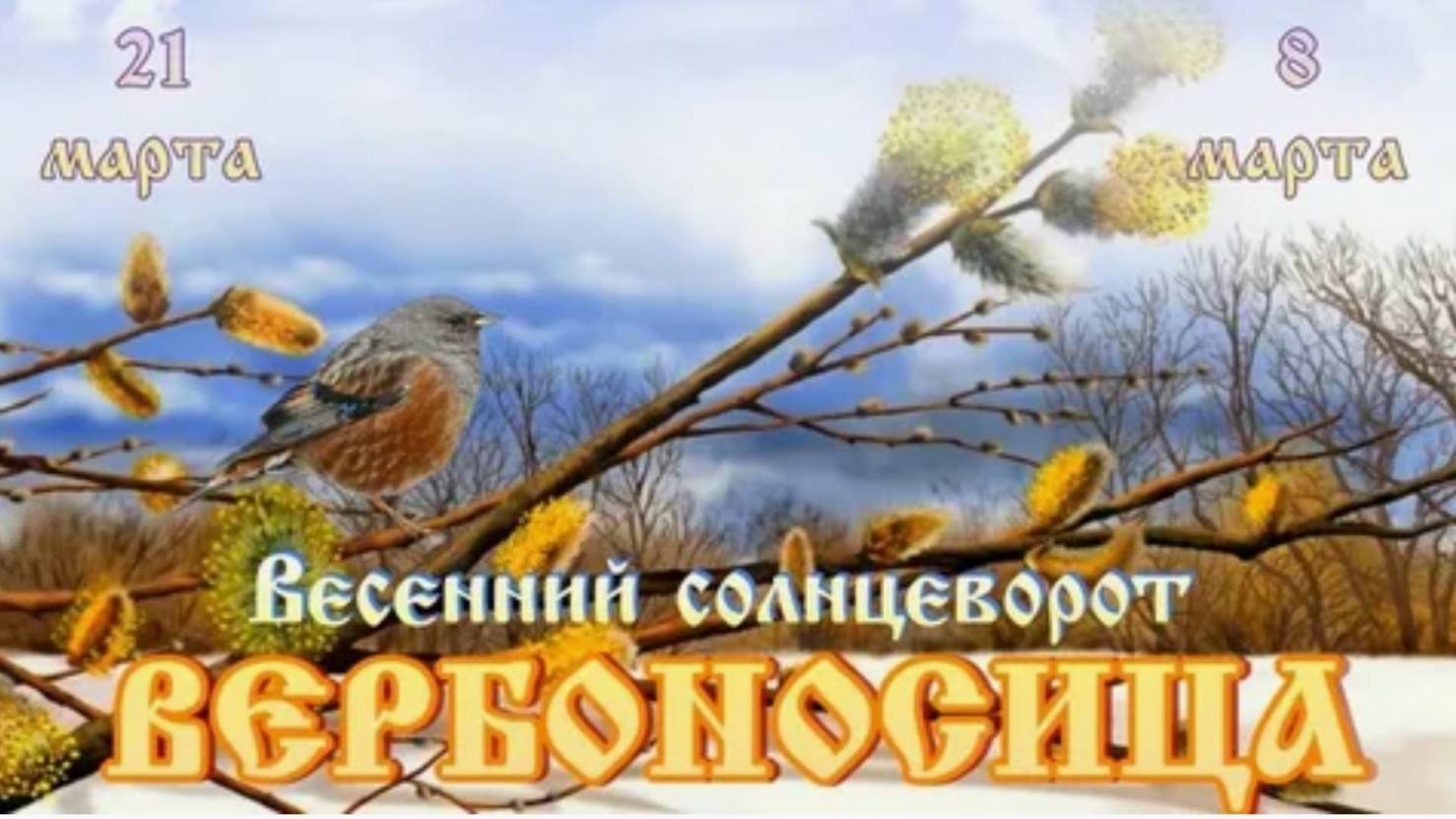 Весенний солнцеворот, Вербоносица