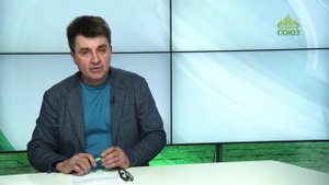 ЧЕТВЕРТЬ ЧАСА: ДЕМОГРАФИЯ И ОБРАЗОВАНИЕ. Продолжение темы