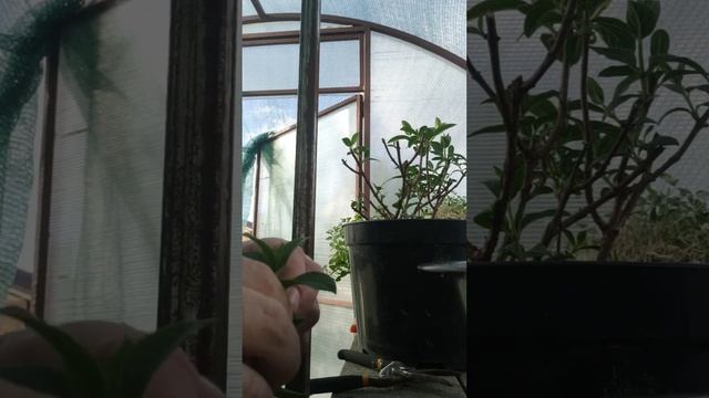 14 мая 2024 г. смотреть онлайн