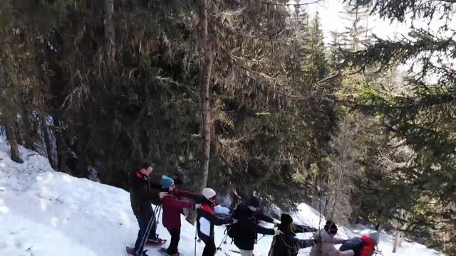 Мамба или Ламбада? :) смотреть онлайн