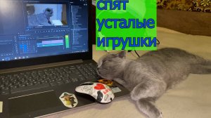 спят усталые игрушки машина уехала в Гараж Чудес  нужен ли нам ангийский и зачем право на мечту