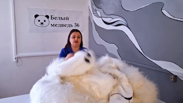 Полный обзор премиального мишки нашего производства