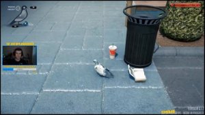 симулятор голубя, симулятор рыбки, обзор на симулятор голубя / Bossa Studios pigeon simulator