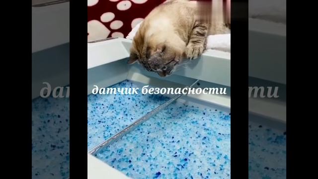 В туалете не воняет смотреть онлайн