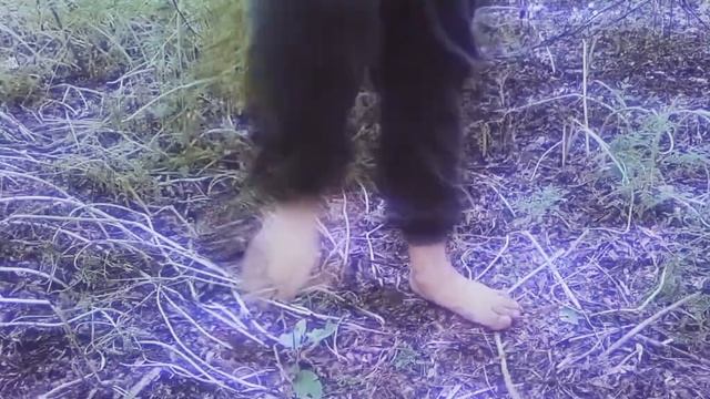 Победный танец, завалил очередного медведя. смотреть онлайн