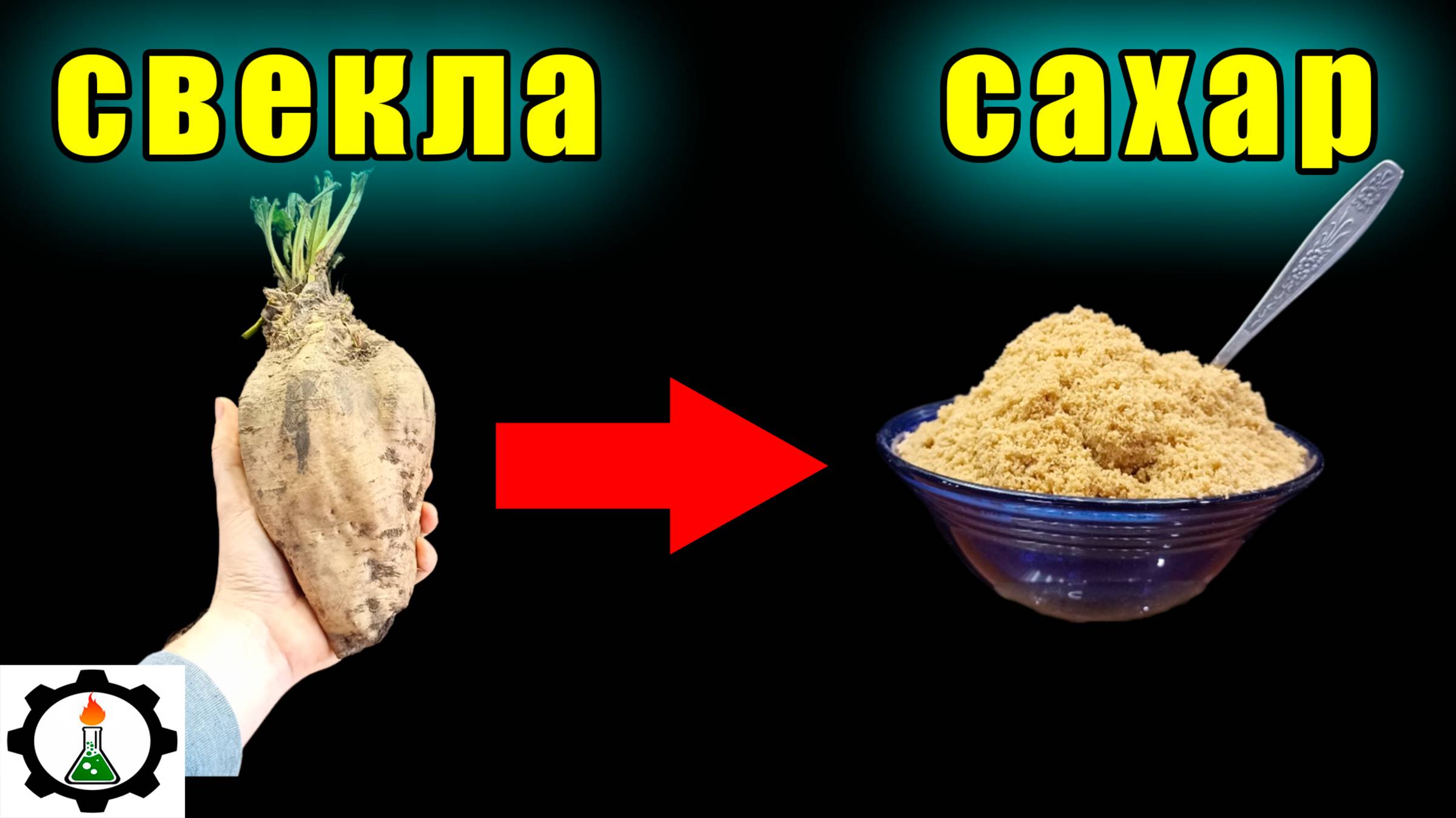 Как добыть САХАР из СВЕКЛЫ