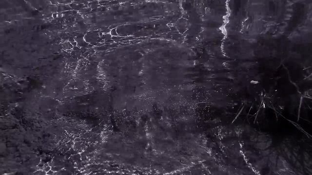 Подводные охотники