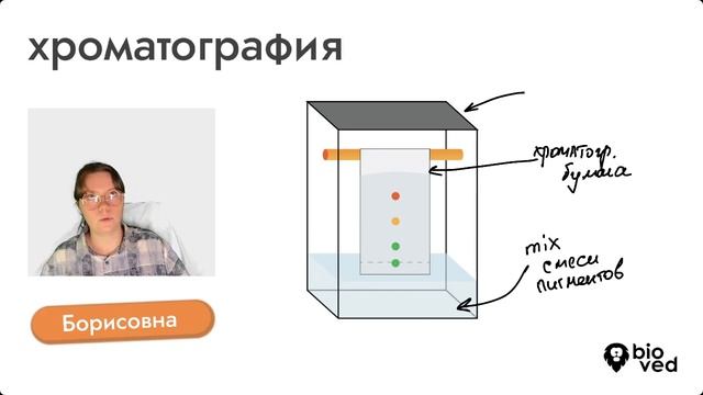 Хроматография | ЕГЭ по биологии | биовед