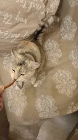 Едим вкусняшку.