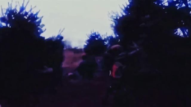 Давим гадину! смотреть онлайн