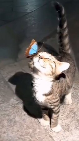 Милота!!!