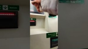 Ленинский пр. Утро, прогулка