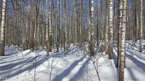 Март. Красивая мелодия.