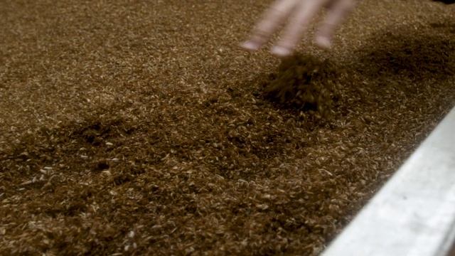 Fluval Bug Bites Insect Larvae Fish Food смотреть онлайн