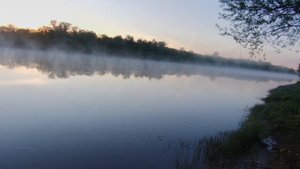 Утренняя рыбалка. Крупная рыба.