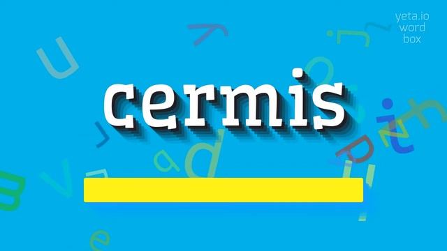 CERMIS - HOW TO PRONOUNCE IT? #cermis смотреть онлайн