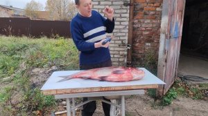 Как правильно разделать рыбу