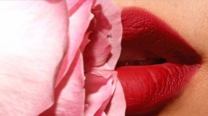 Never True _ Music Box L Video