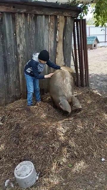 нефтекамск деревня смотреть онлайн