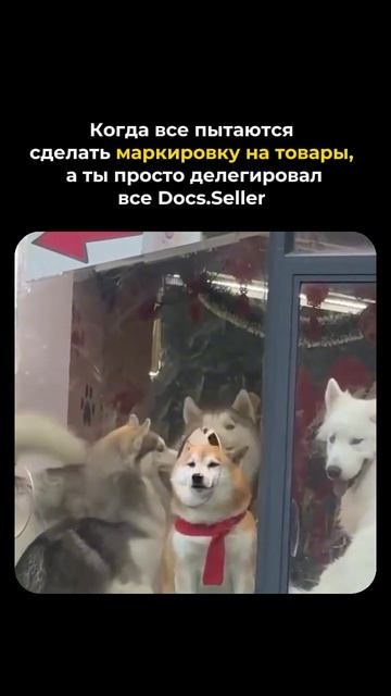 Это кайф  #честныйзнак #юмор #маркировкаодежды #маркировкачестныйзнак #маркировкаобуви #бады #вб