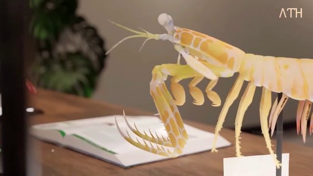 Most Powerful and Fastest Creature on Planet Earth смотреть онлайн