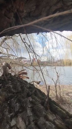 Парк Щербакова с другой стороны
