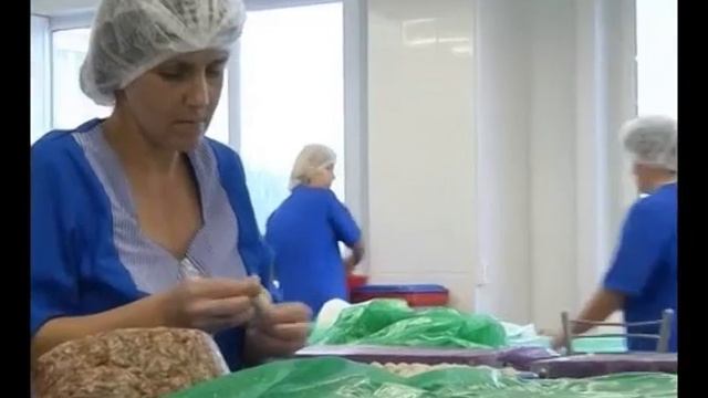 Шаг на встречу мировым стандартам качества смотреть онлайн