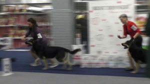 Сравнение на ЛК