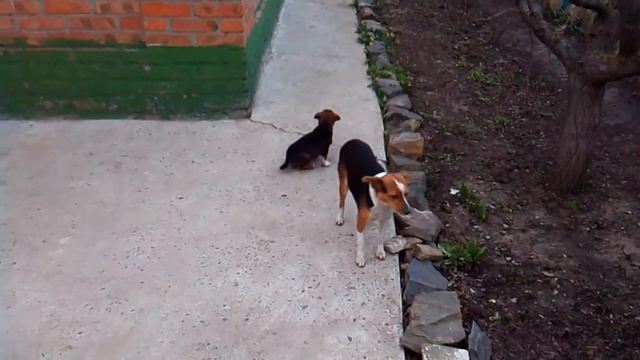 VID 20160322 175312