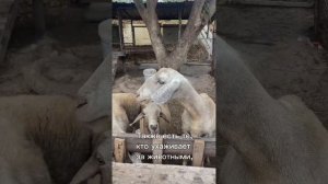 Один день в тайской тюрьме