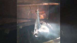 Горбуша холодного копчения в тандыре