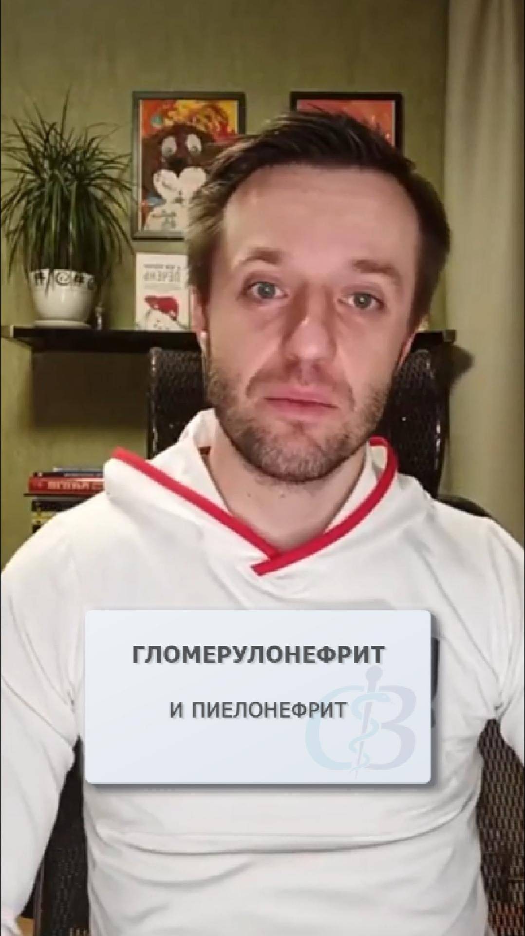 Гломерулонефрит и пиелонефрит разница - какую болезнь можно вылечить?