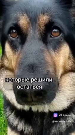 1000020069.mp4
