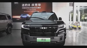 2025 BYD Fang Cheng Bao Bao 8 подробный обзор