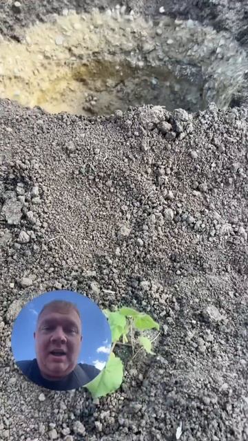 Сила краснодарской земли. #юмор #прикол #краснодар #ландшафт
