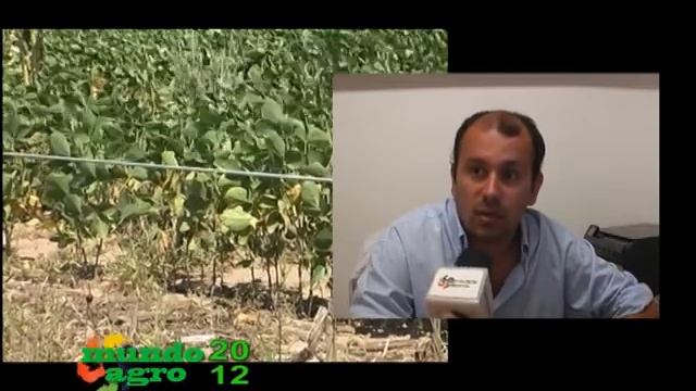 MUNDO AGRO SEMBRANDO SATELITAL LUN06FEB2012 CESAR ALONSO BOLSA CEREALES CBA смотреть онлайн