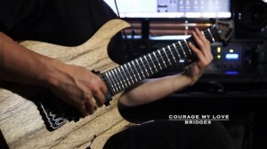 Courage My Love - Bridges | GUITAR COVER by Nowakowski_JP MAYONES Duvell Elite BL