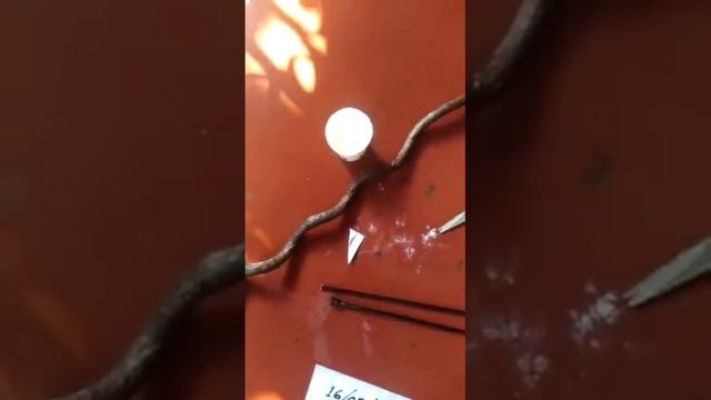 Original Garuda Sanjeevini Water root test || Call me Aryan 7378461014