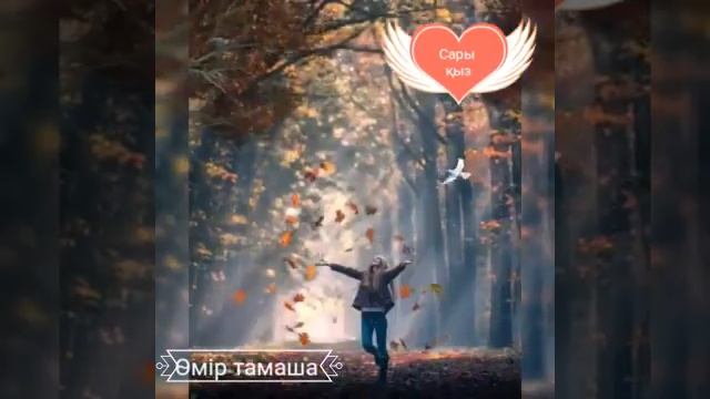 Сары қыз Сенім тобы Қазақша əн 1 смотреть онлайн