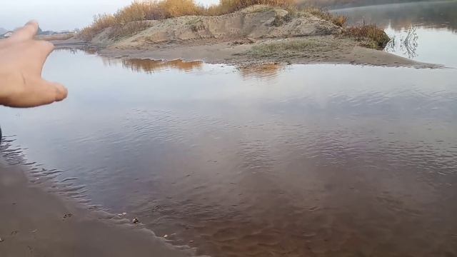 Сходили к речке. Обалденное утро.