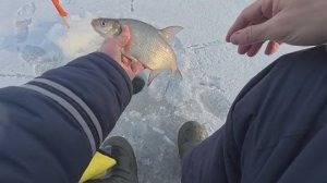 А хотелось половить плоского (Белка 22.03.2025)