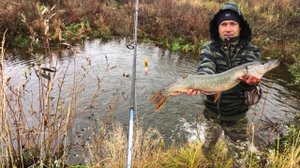 РЫБАЛКА В ЛУЖЕ!!ТАКОГО Я ТОЧНО НЕ ОЖИДАЛ ТАМ УВИДЕТЬ!!!