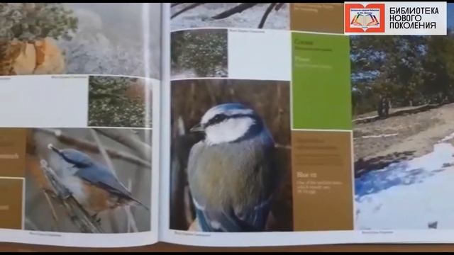 Дистанционное эко путешествие «Красная книга и ее обитатели»