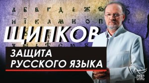 Защита русского языка. Щипков №345